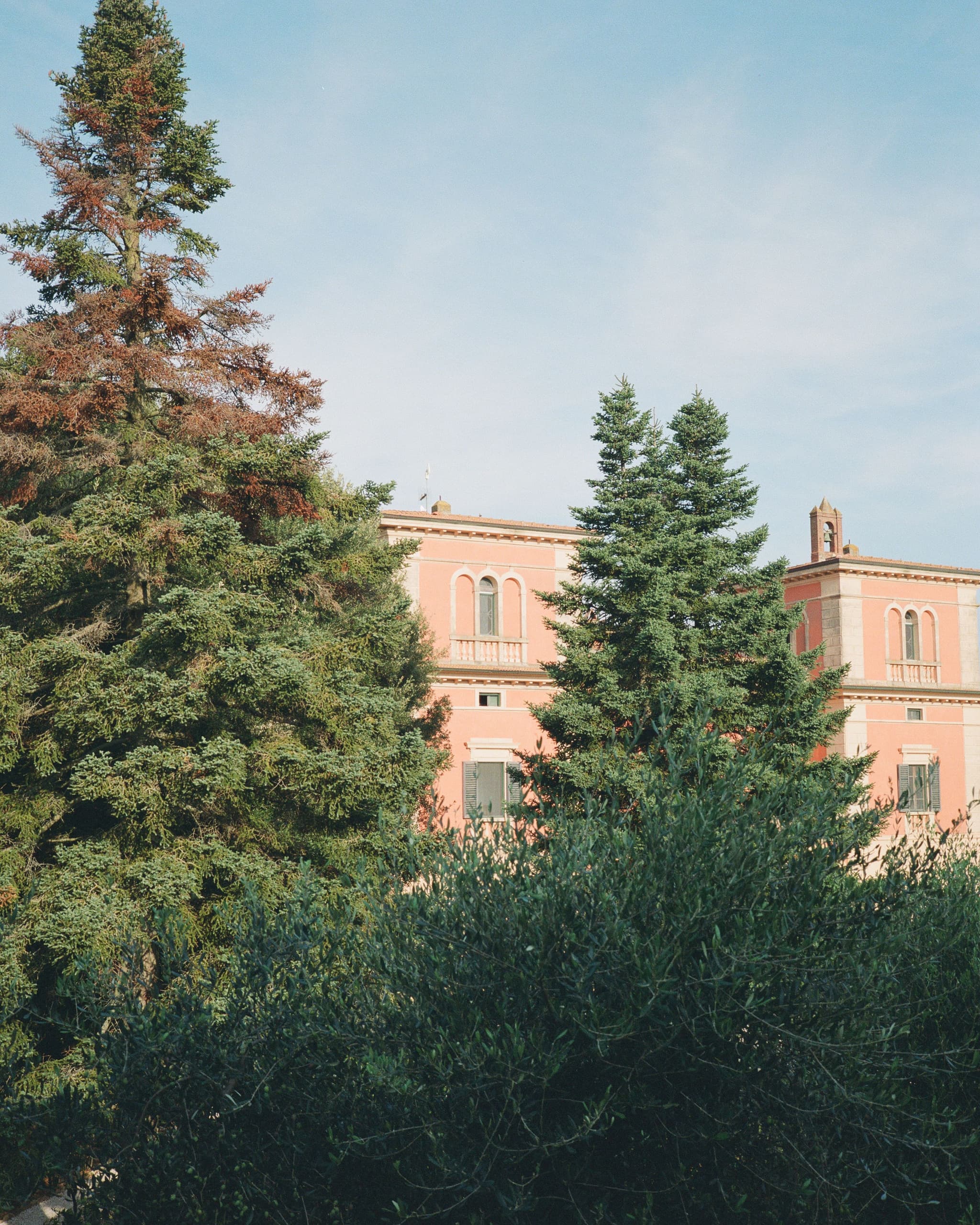 Behind the Trees