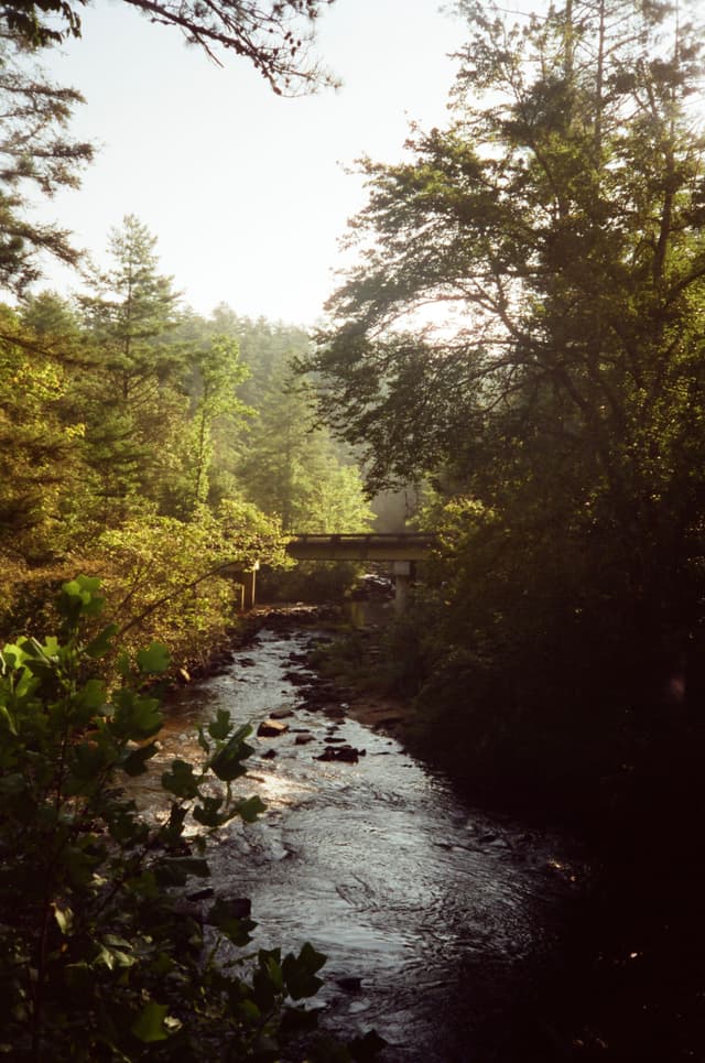 Falls