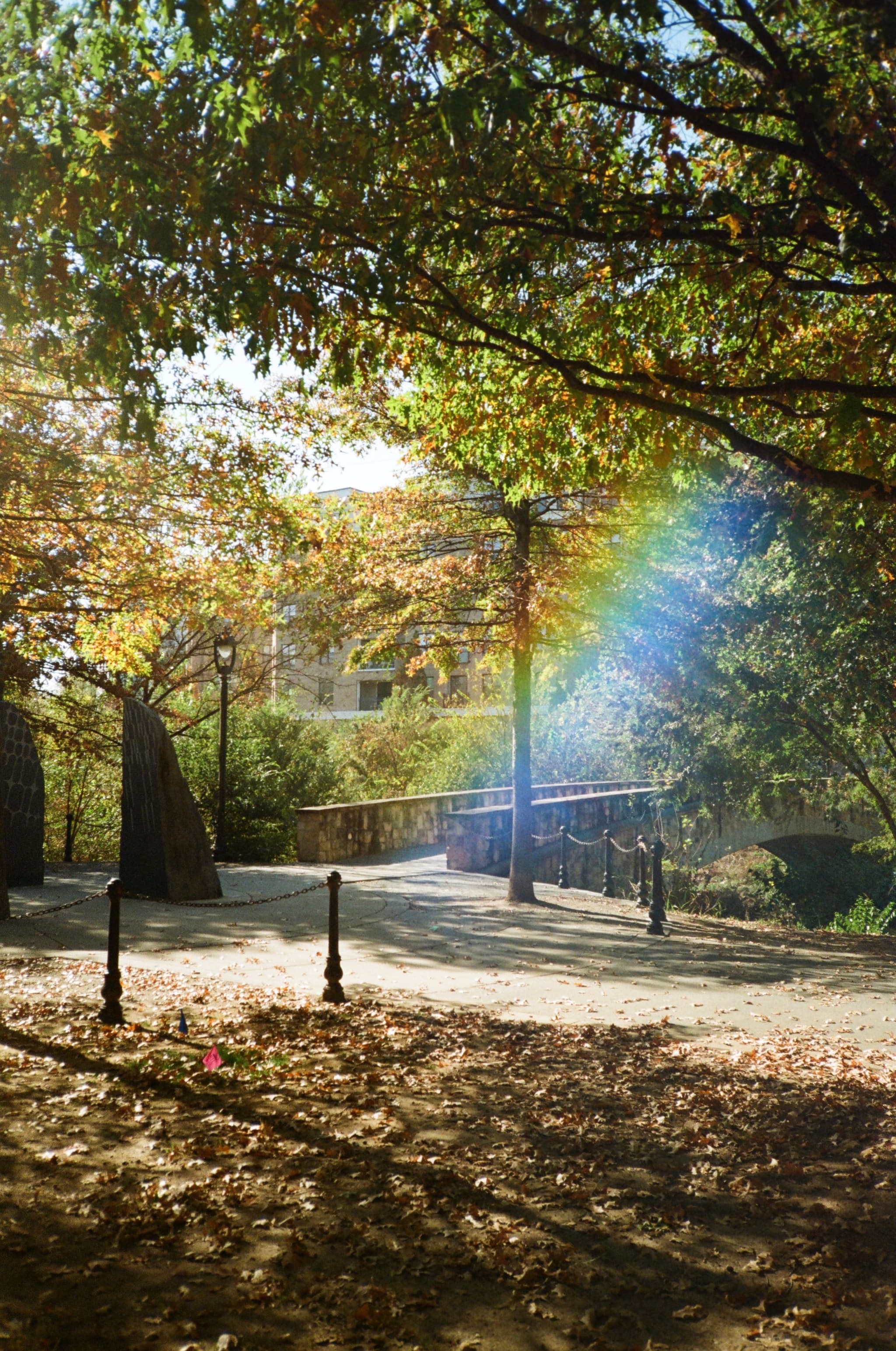 Light Leak