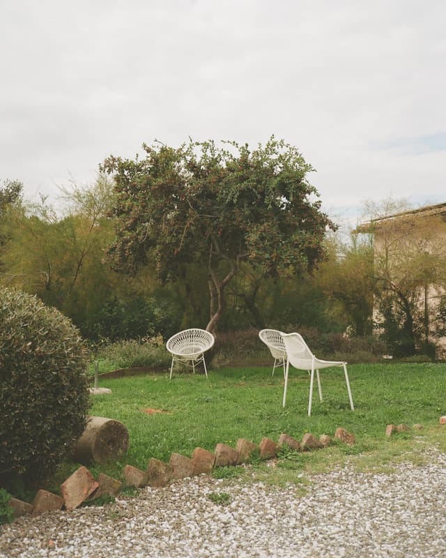 Chairs