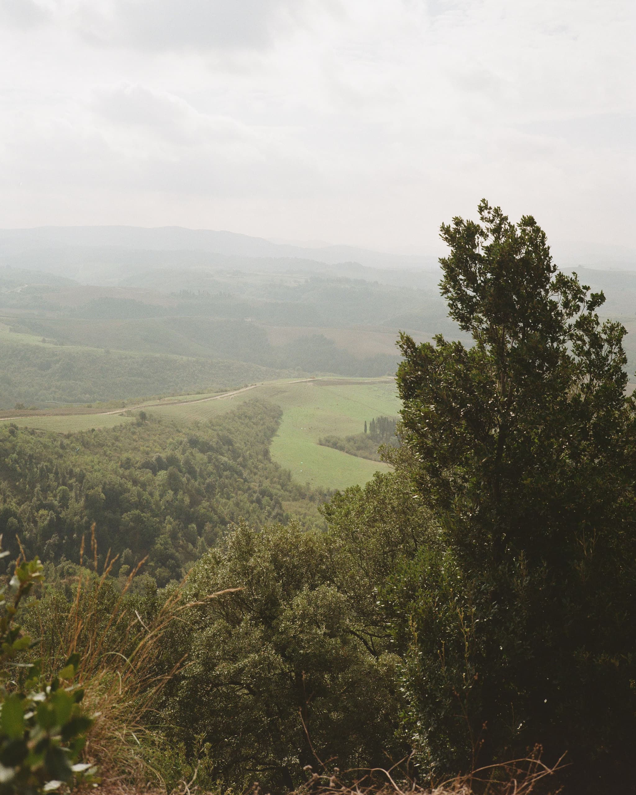 Overlook