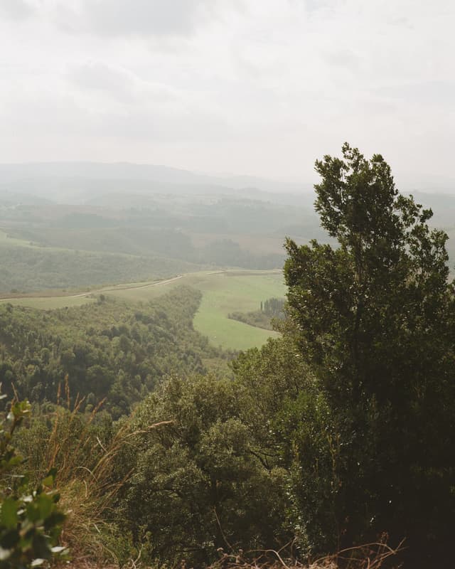 Overlook