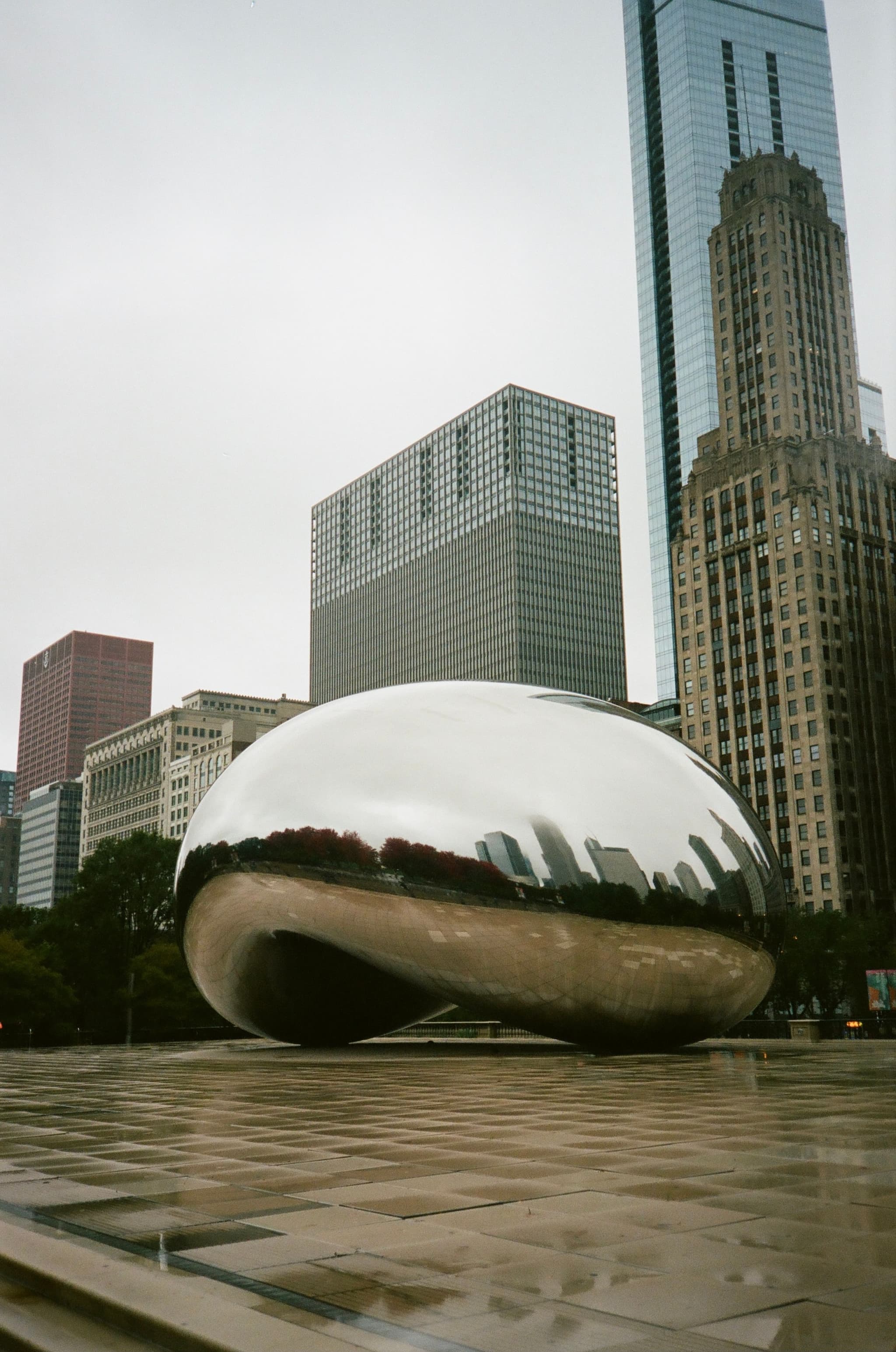 The Bean