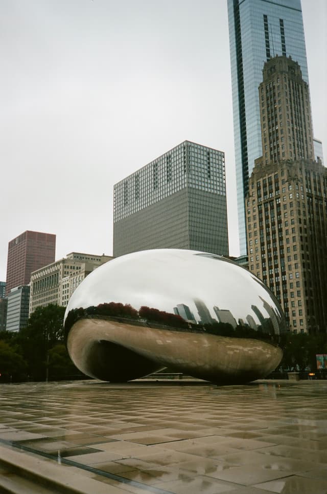 The Bean